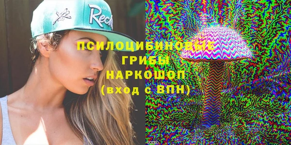 СК Абинск