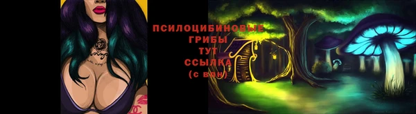 дмт Абаза