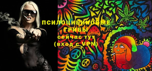 дмт Абаза