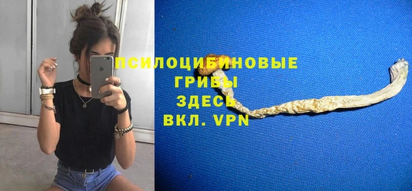 дмт Абаза