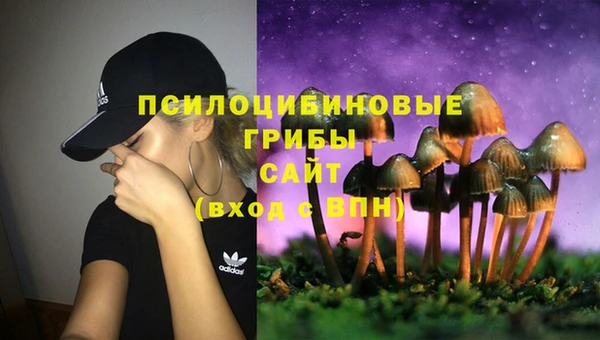 дмт Абаза