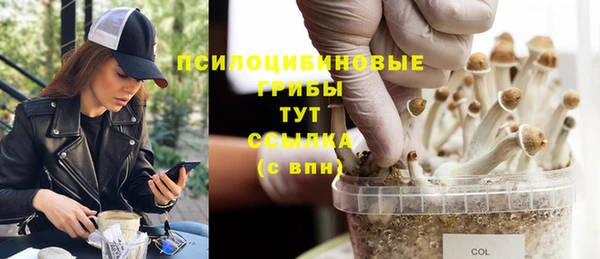 дмт Абаза