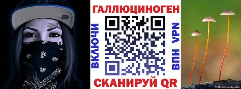 нарко площадка Telegram Лодейное Поле Псилоцибиновые грибы ЛСД